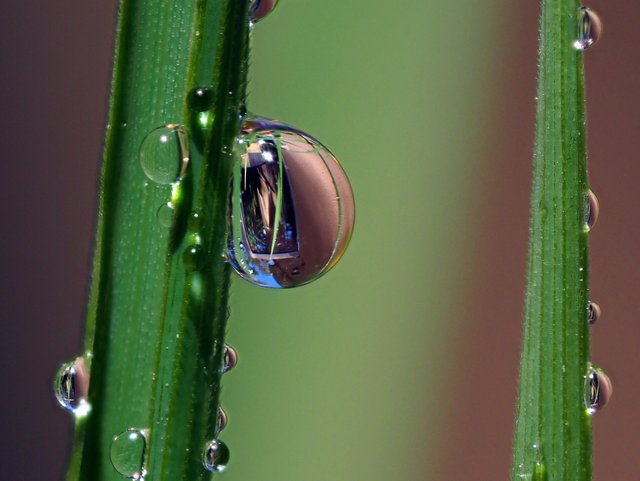 P5270878m.JPG