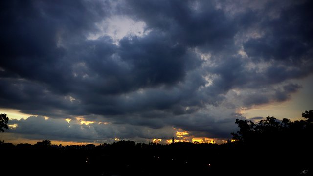 DSC05010b.jpg