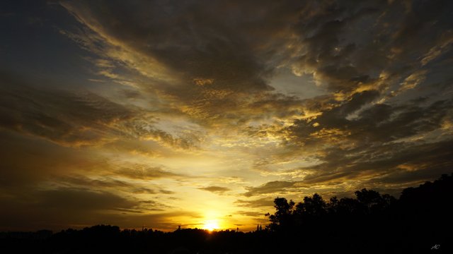 DSC00877b.jpg