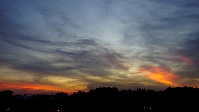 DSC00607b.jpg