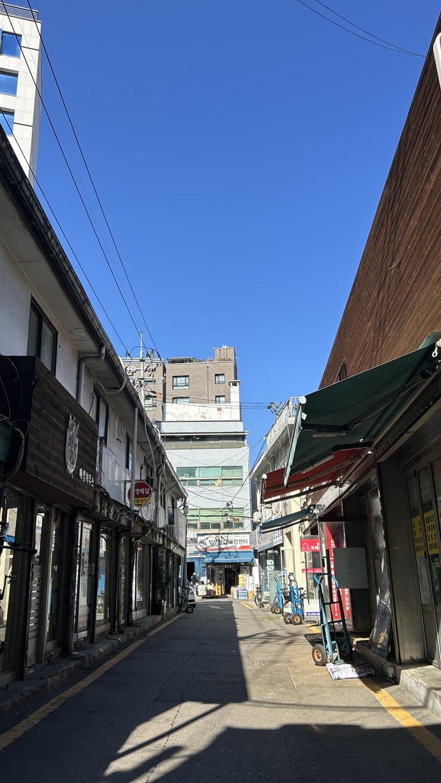 IMG_7412.jpeg