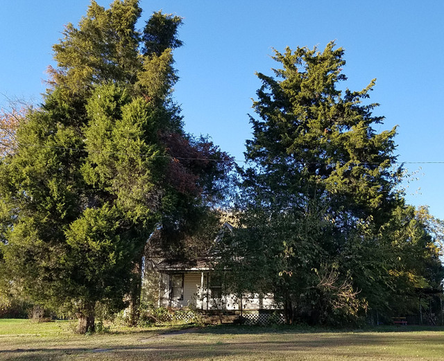 house2_40.jpg