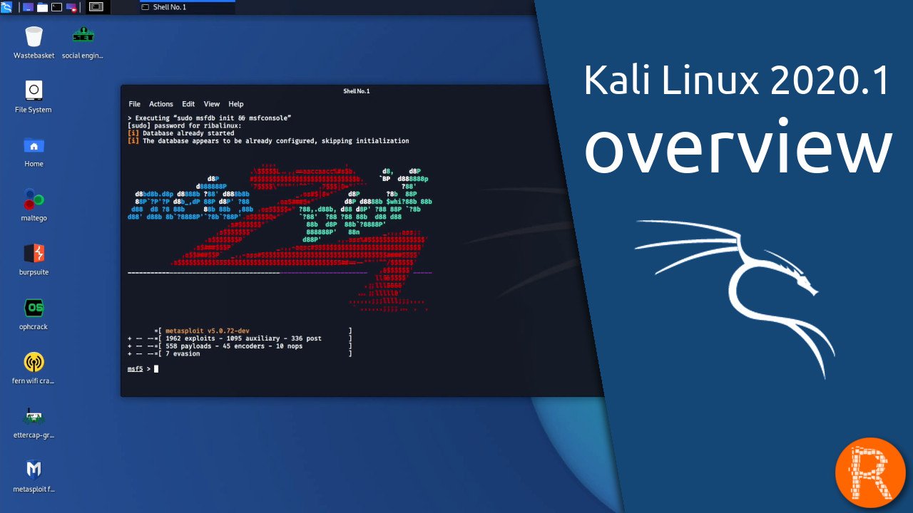 Kali linux 2020. Кали линукс 2020. 4. Kali linux plasma. Kali linux i3.