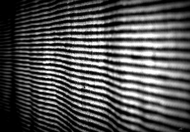 DSC07411b.jpg