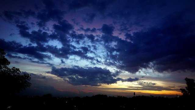 DSC05939b.jpg