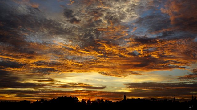 DSC01748b.jpg