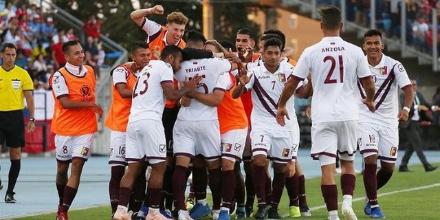 vinotinto.jpg