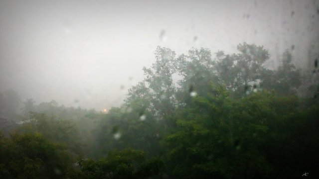 DSC_2209b.jpg