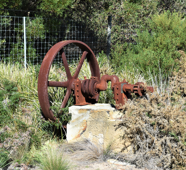 DSC_0436b.jpg