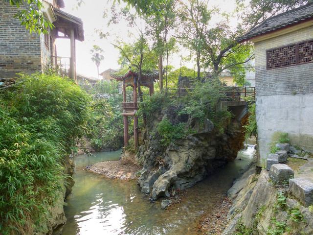P1010359a.jpg
