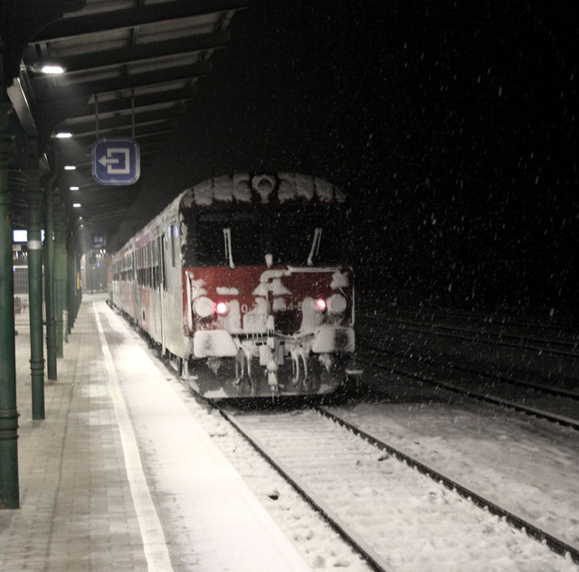 IMG_1970b.jpg