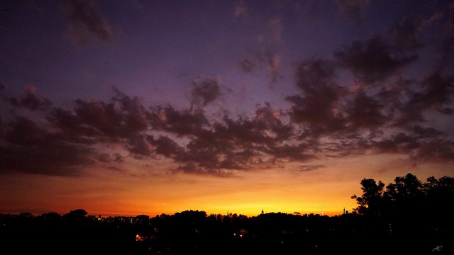 DSC01040b.jpg