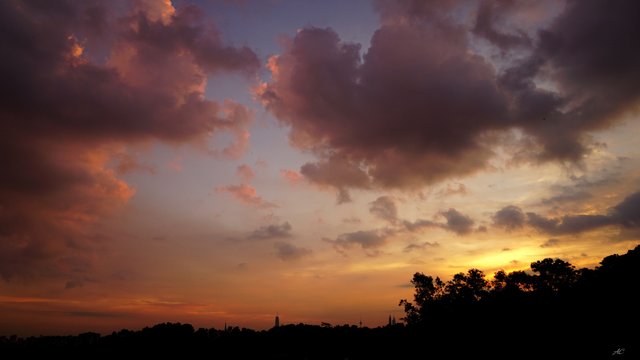 DSC02853b.jpg