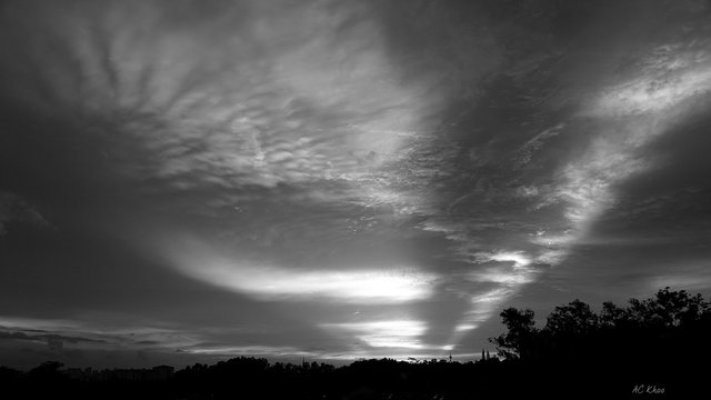 DSC05237d.jpg