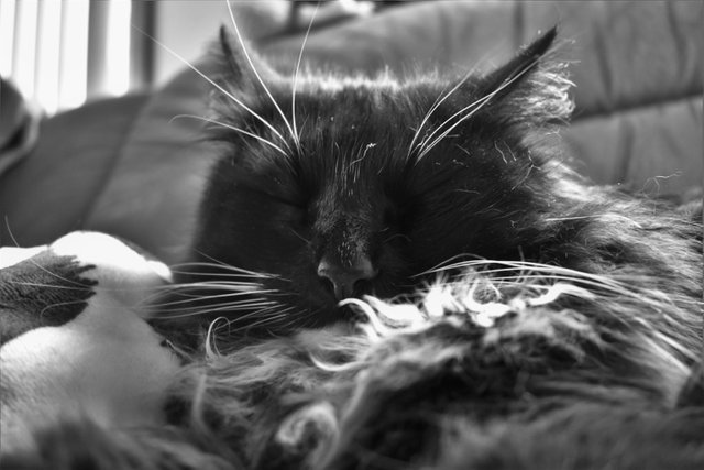 DSC_0041b.jpg