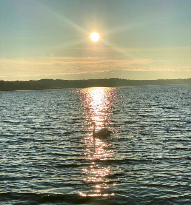 IMG_5616.jpeg