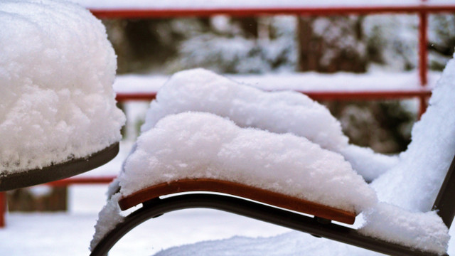 P3020236m.JPG