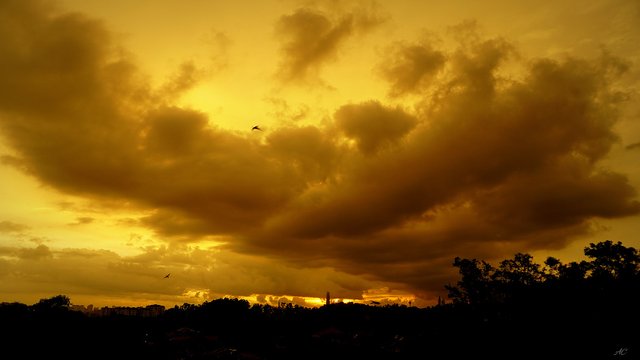 DSC04997b.jpg