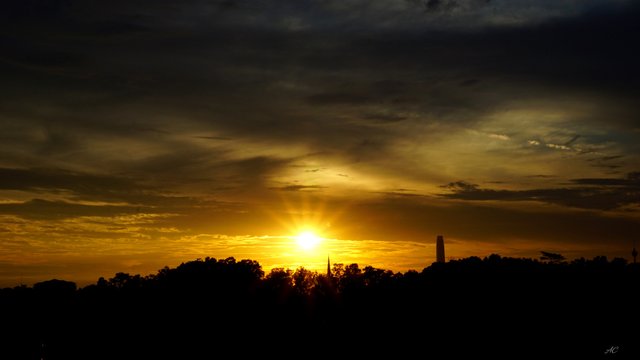 DSC05376b.jpg