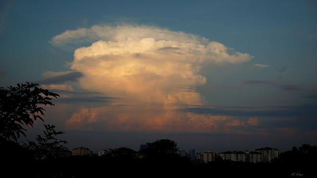DSC02887b.jpg