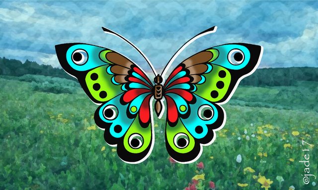 butterfly.jpg