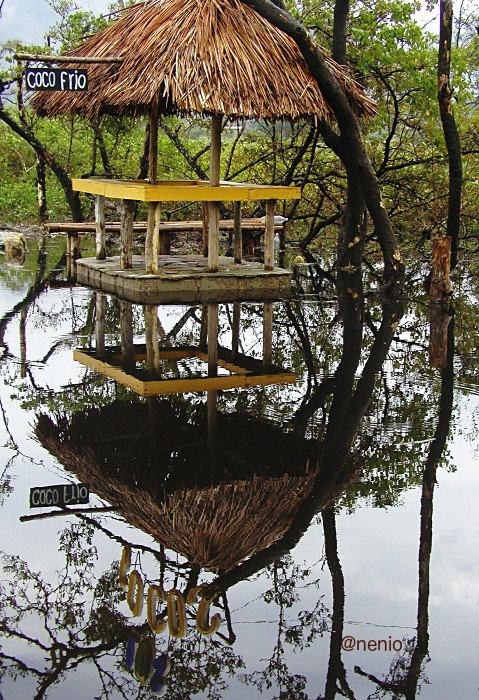 coco-frio.jpg