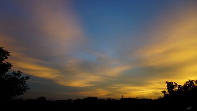 DSC07543b.jpg