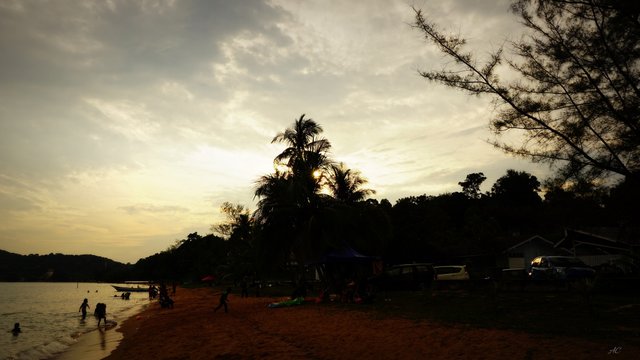 DSC04772b.jpg