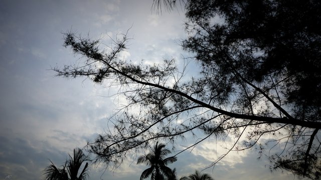 DSC04813b.jpg