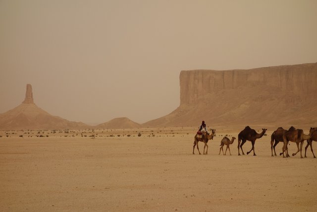 3408458_L.jpg