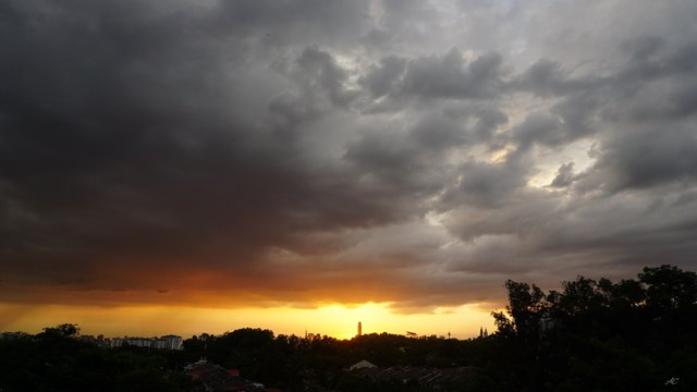 DSC05992b.jpg