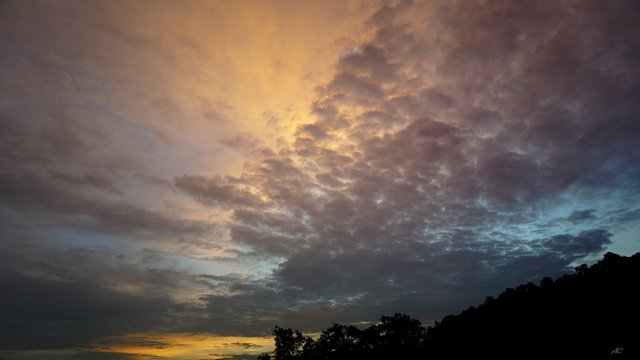 DSC07495b.jpg