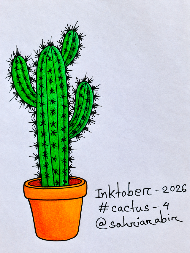 Cactus .png