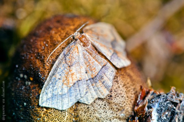 IMG_3850w.jpg