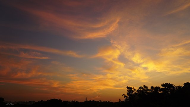 DSC02996b.jpg