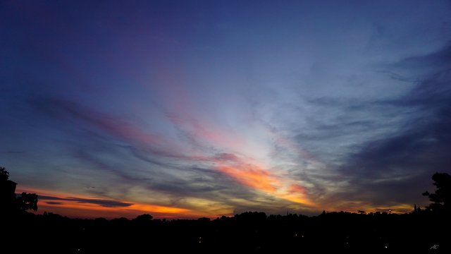 DSC00594b.jpg