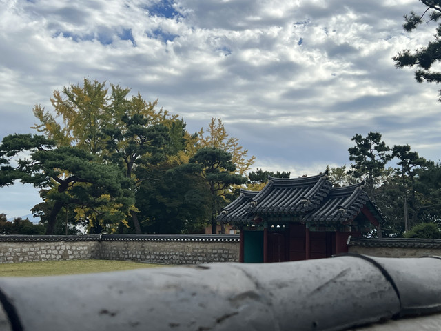 IMG_5568.jpeg