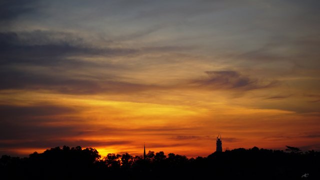 DSC01979b.jpg