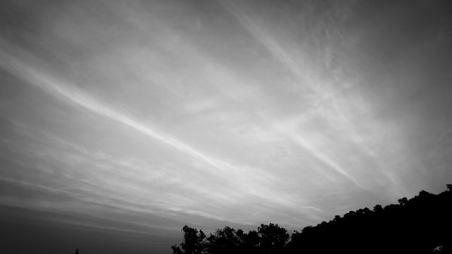 DSC05771b.jpg