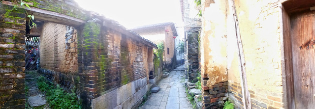 P1010316a.jpg
