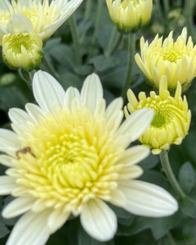IMG_0837.jpeg