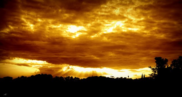 DSC06846b.jpg