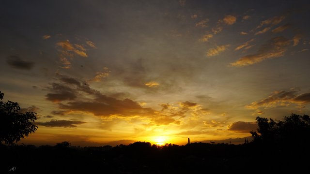 DSC05896b.jpg