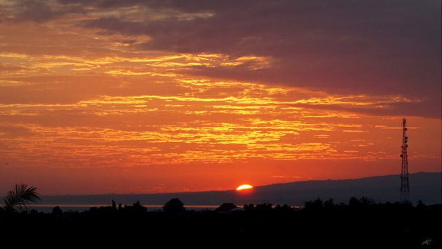 DSC03539b.jpg
