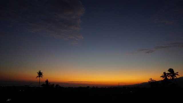 DSC04178b.jpg