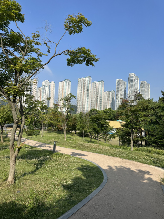 IMG_8327.jpeg