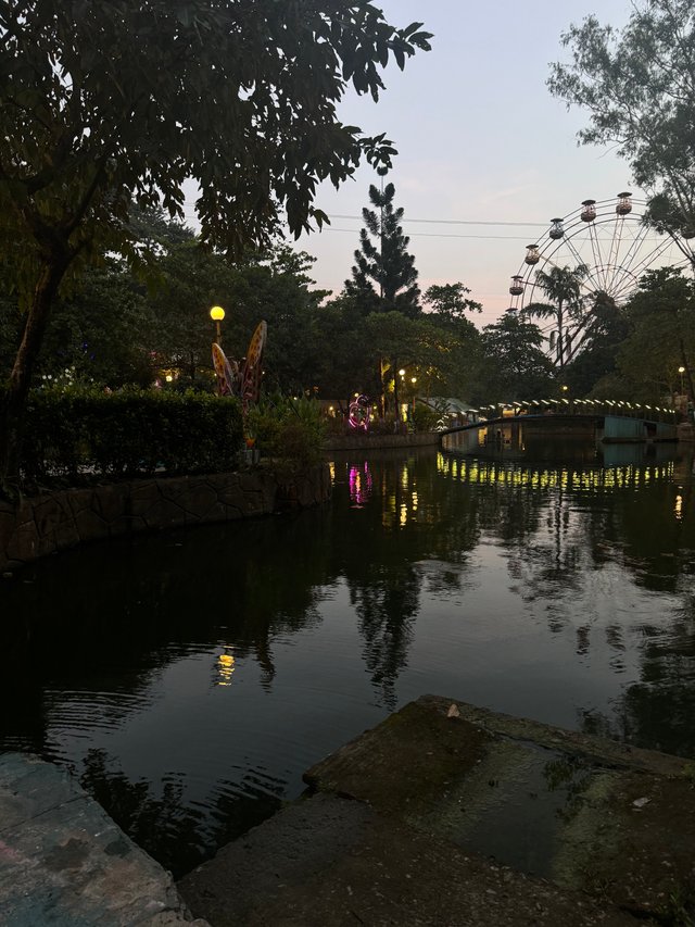 IMG_8020.jpeg