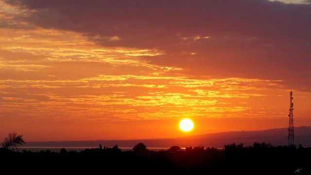 DSC03548b.jpg