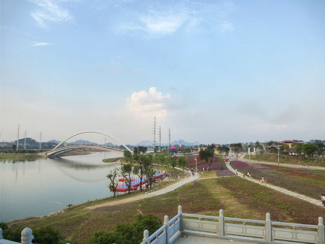 P1040595a.jpg