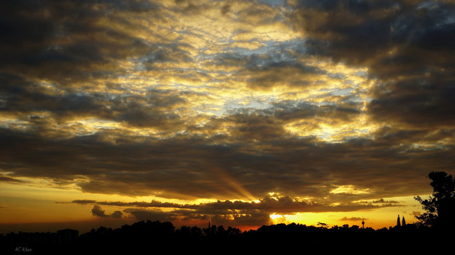 DSC06854b.jpg